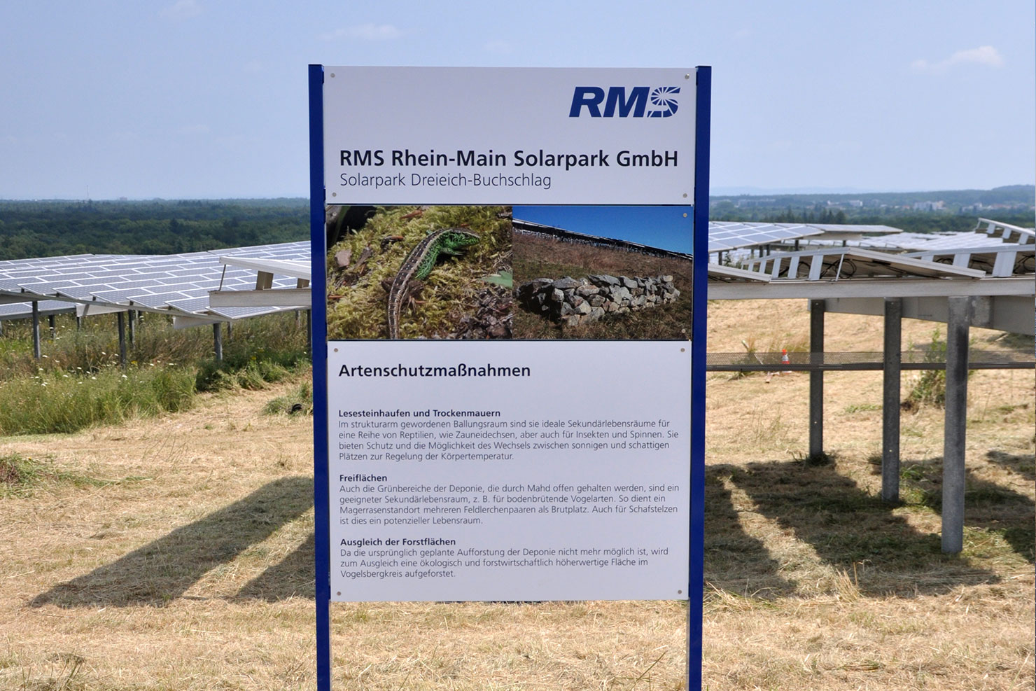 Der Rhein-Main-Solarpark (RMS) wird von der mainova und der FES Frankfurt geführt.