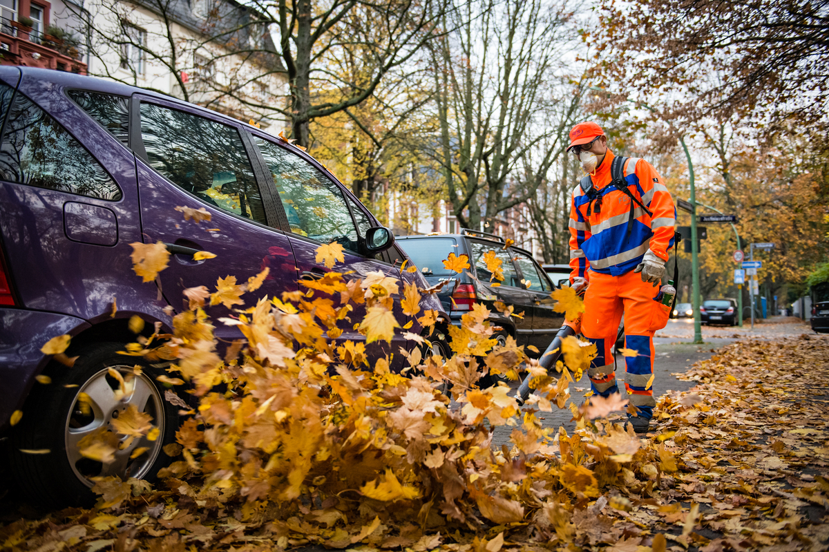 Professioneller Laubdienst und Winterdienst der FFR (FES-Gruppe) in Frankfurt am Main