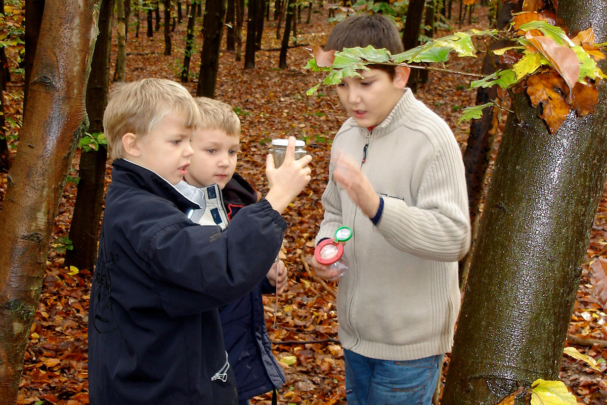 Drei Kinder im Herbstwald